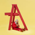 Billie Eilish - don't smile at me